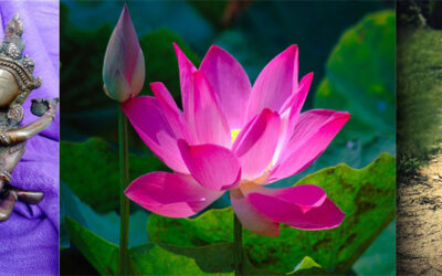 TANTRA, Un chemin d’expansion de Conscience et d’Amour… Vers la Transformation !