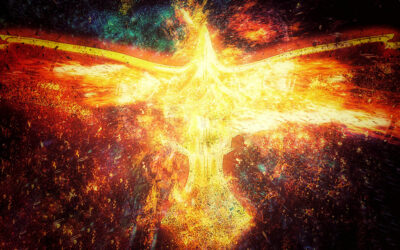 Week-end 7-energy Dance du plexus solaire