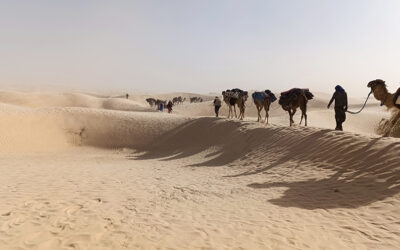 Voyage initiatique “à la rencontre du désert”