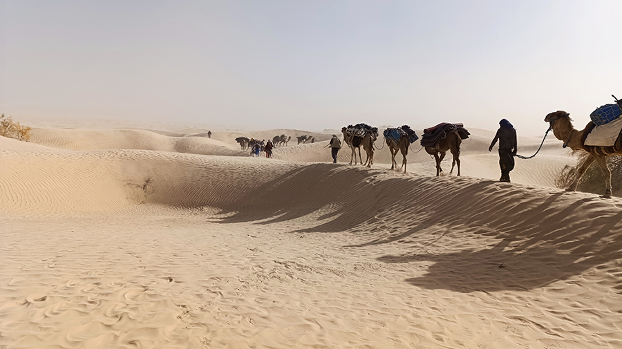 Voyage-Desert-corps-et-ames-Mai-2026